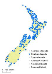 Paesia scaberula distribution map based on databased records at AK, CHR & WELT.
 Image: K. Boardman © Landcare Research 2017 CC BY 3.0 NZ